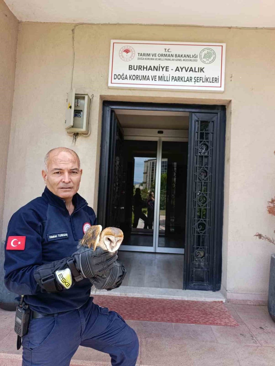 Balıkesir’in Burhaniye ilçesinde balkon pervazına çarparak yaralanan bir baykuş, itfaiye