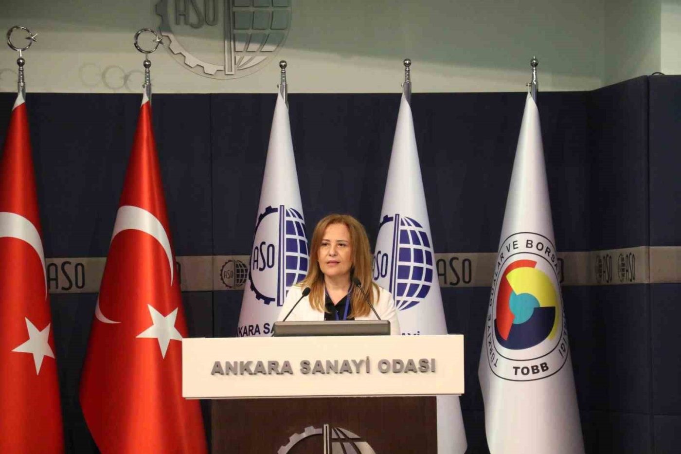 Ankara Sanayi Odası (ASO) Meclis Üyesi ve Komite Başkanı Nuray