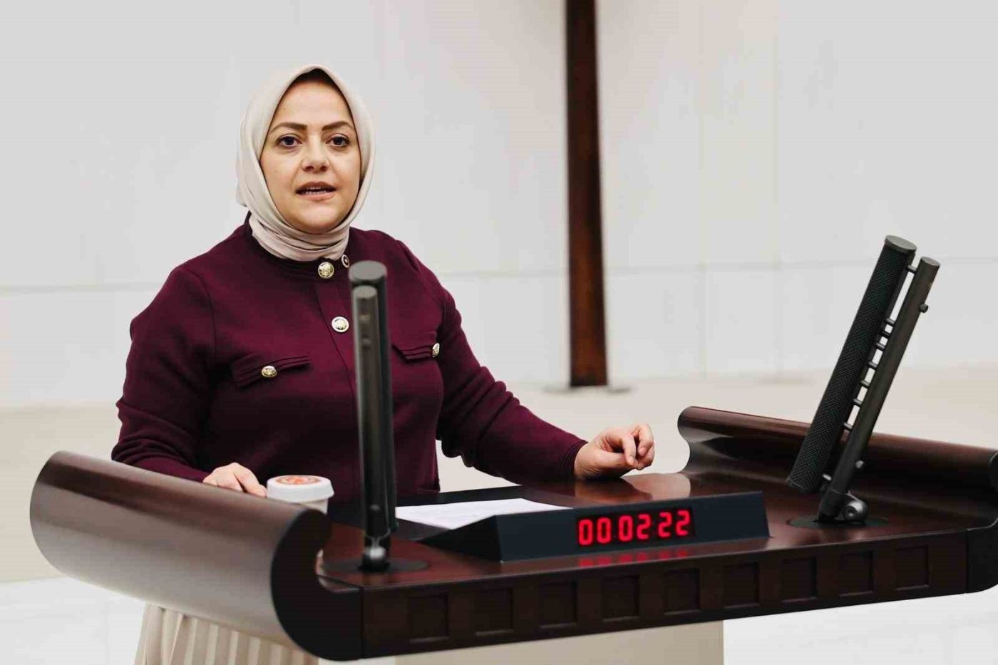 Denizli Milletvekili Sema Silkin Ün, CHP Genel Başkanı Özgür Özel’e