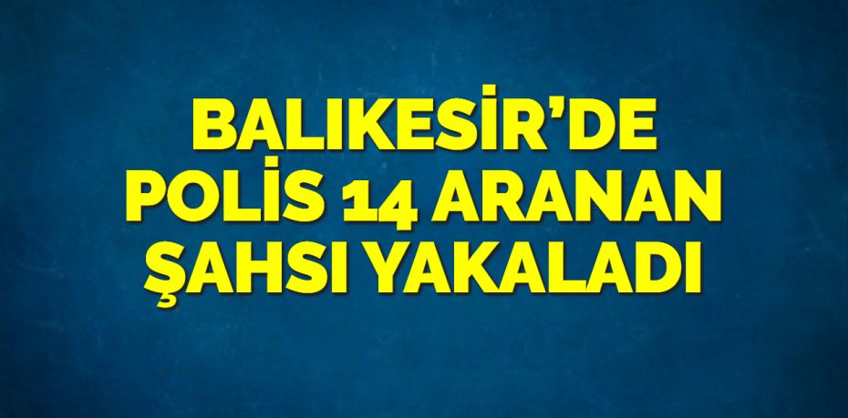 Balıkesir polisi çeşitli suçlardan