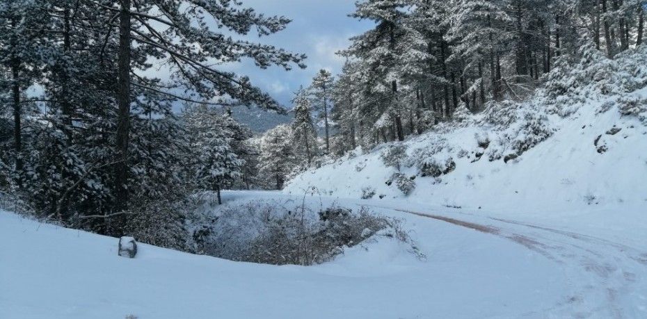 Balıkesir’in Sındırgı ilçesinde kar