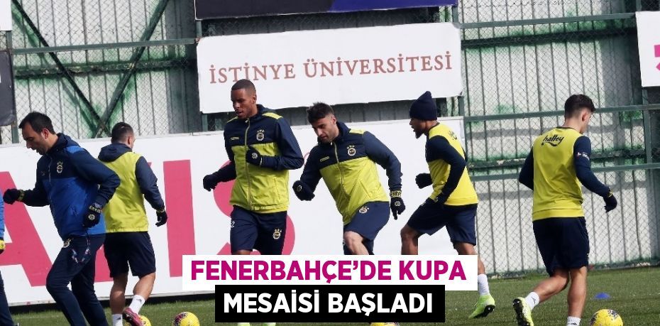 Fenerbahçe, Ziraat Türkiye Kupası