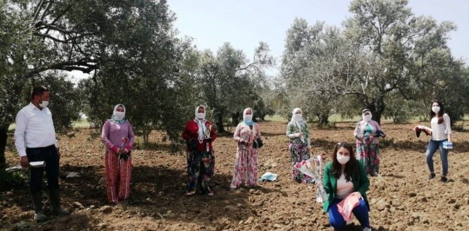 Balıkesir’in Ayvalık ilçesinde Ziraat