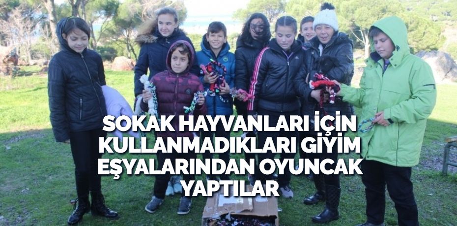 SOKAK HAYVANLARI İÇİN KULLANMADIKLARI GİYİM EŞYALARINDAN OYUNCAK YAPTILAR