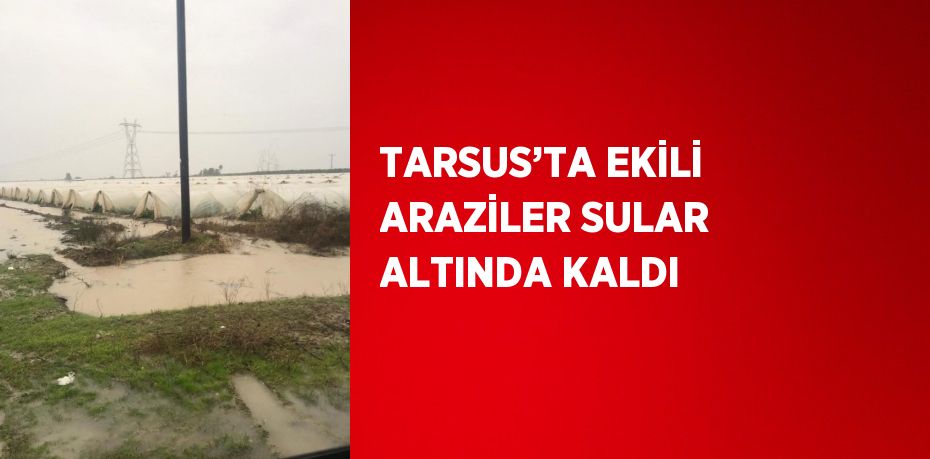 Mersin’in Tarsus ilçesinde aşırı