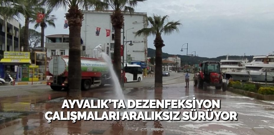 Balıkesir’in Ayvalık ilçesinde; Koronavirüs