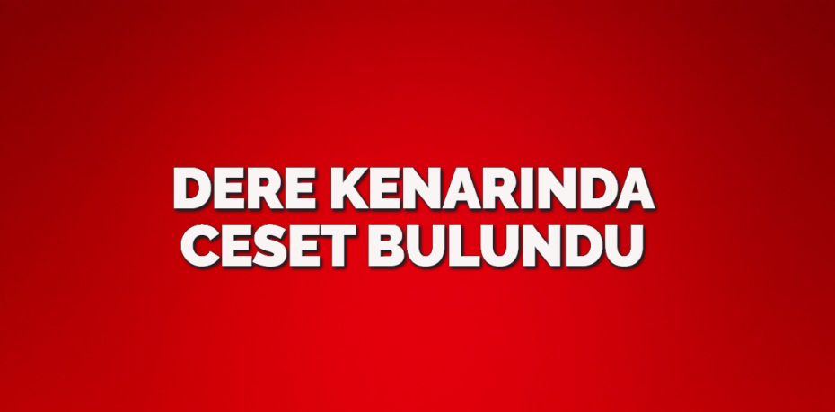 Balıkesir’in Edremit ilçesinde dere