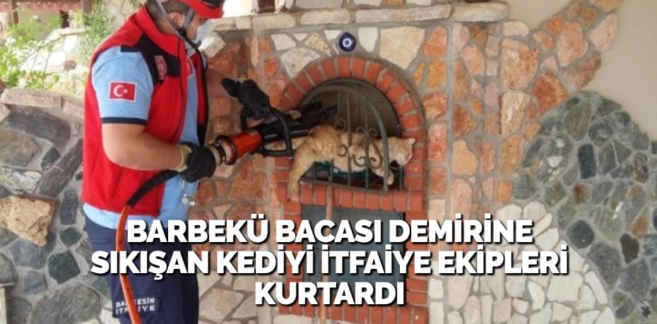 BARBEKÜ BACASI DEMİRİNE SIKIŞAN KEDİYİ İTFAİYE EKİPLERİ KURTARDI