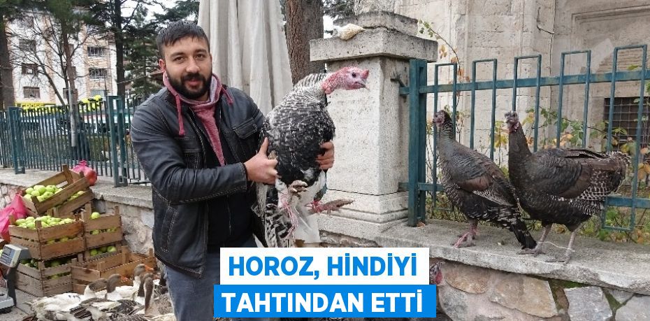 Tokat’ta yılbaşı hindi satışı