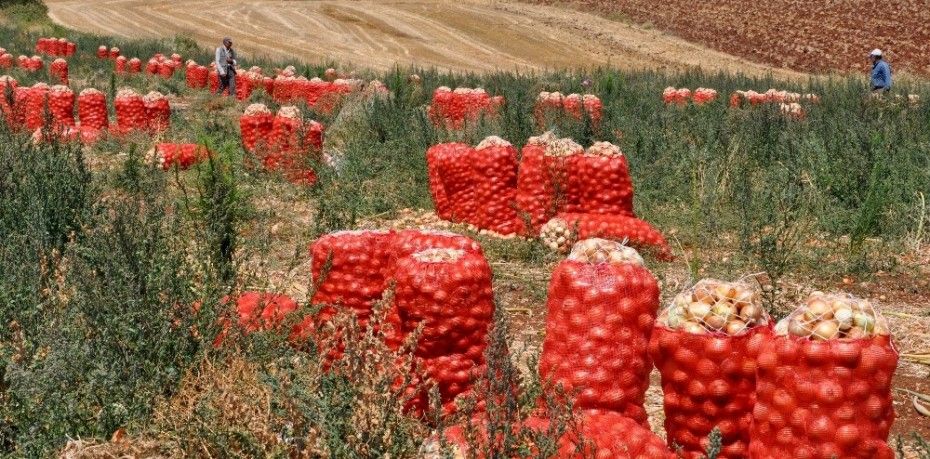 Ocak ayından bu yana