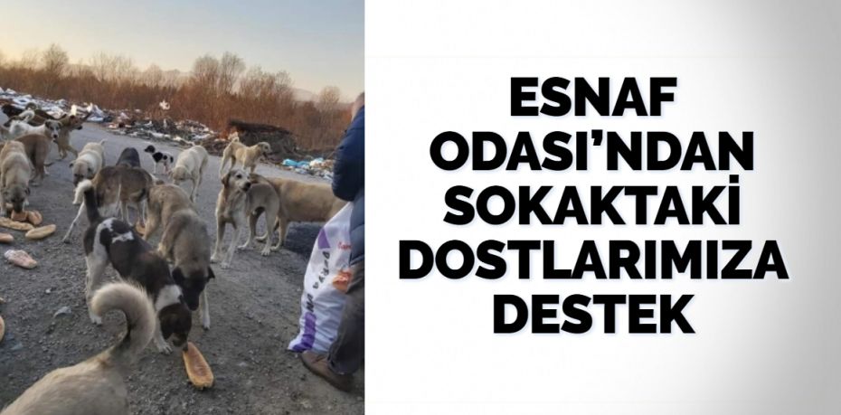 ESNAF ODASI’NDAN SOKAKTAKİ DOSTLARIMIZA DESTEK