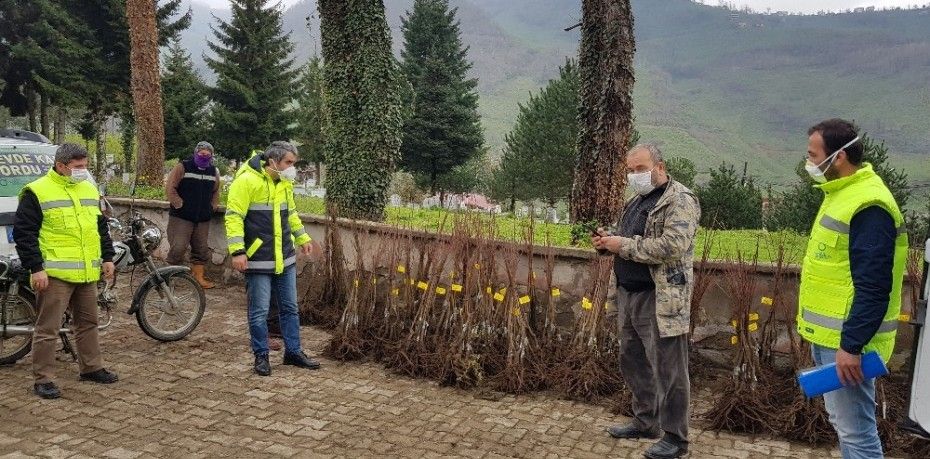 Ordu Büyükşehir Belediyesi tarımda