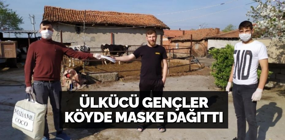 ÜLKÜCÜ GENÇLER KÖYDE MASKE DAĞITTI