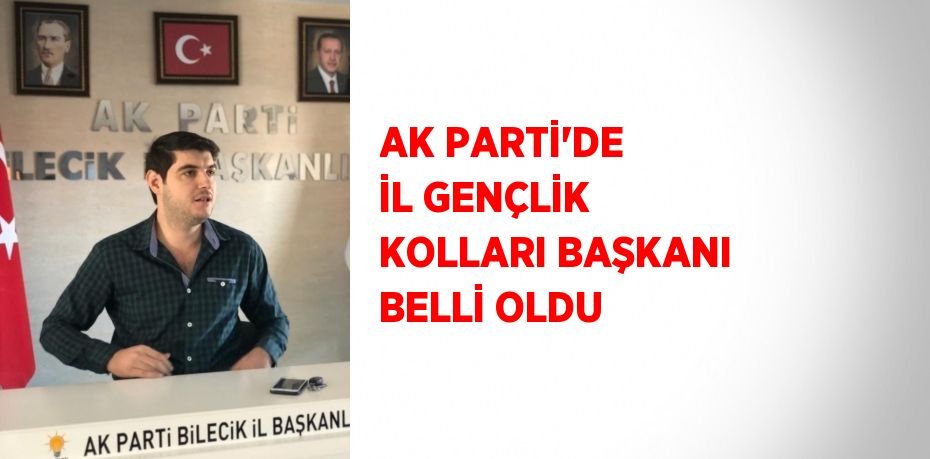 AK Parti Bilecik Gençlik Kolları Başkanı Onur Karaman, görevinden istifa