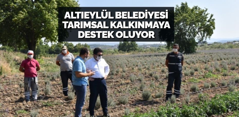 ALTIEYLÜL BELEDİYESİ TARIMSAL KALKINMAYA DESTEK OLUYOR