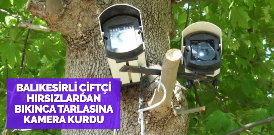 BALIKESİRLİ ÇİFTÇİ HIRSIZLARDAN BIKINCA TARLASINA KAMERA KURDU