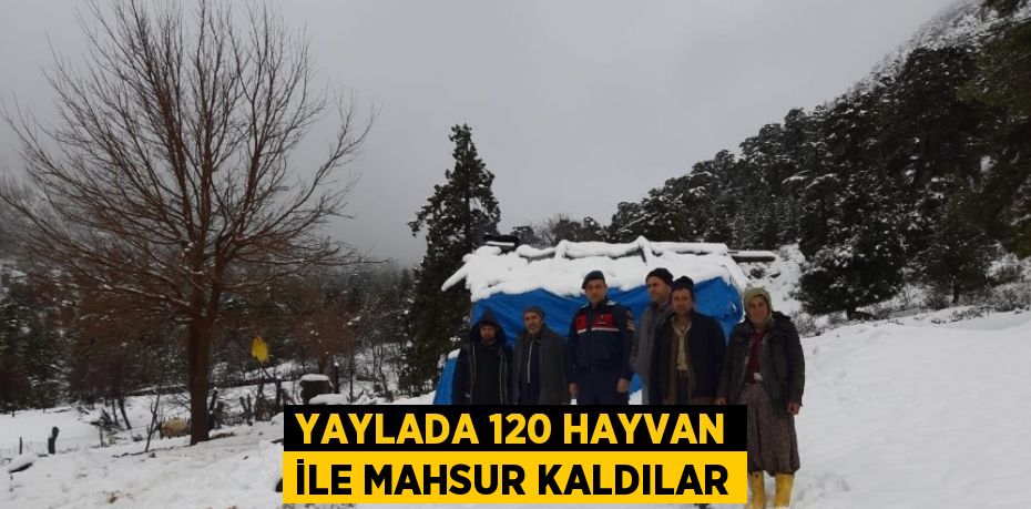 YAYLADA 120 HAYVAN İLE MAHSUR KALDILAR