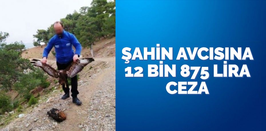 ŞAHİN AVCISINA 12 BİN 875 LİRA CEZA