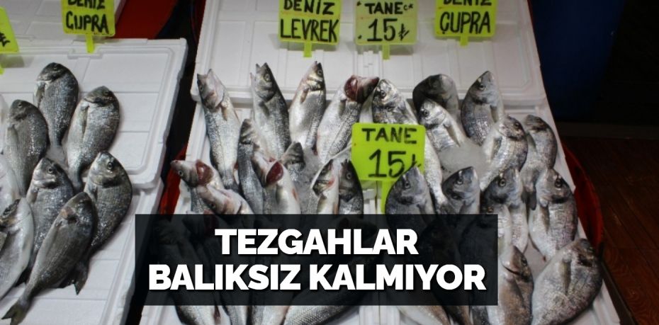 TEZGAHLAR BALIKSIZ KALMIYOR