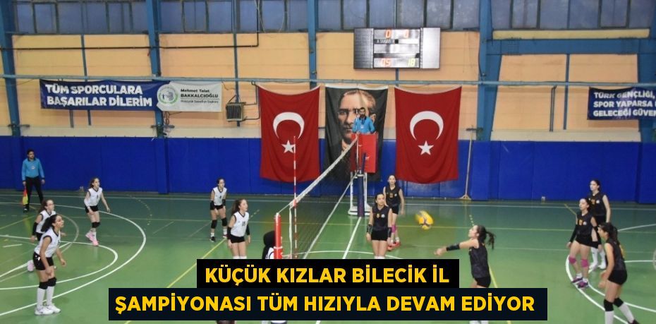 Türkiye Voleybol Federasyonu Küçük