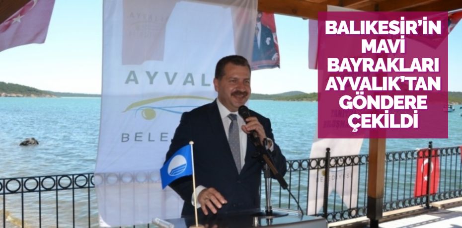 Kıyılarında 31 mavi bayrağın