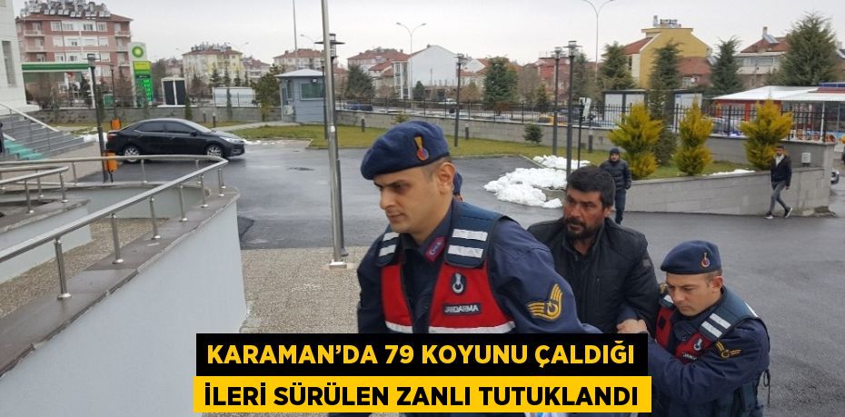 Karaman’da bir ağıldan 79