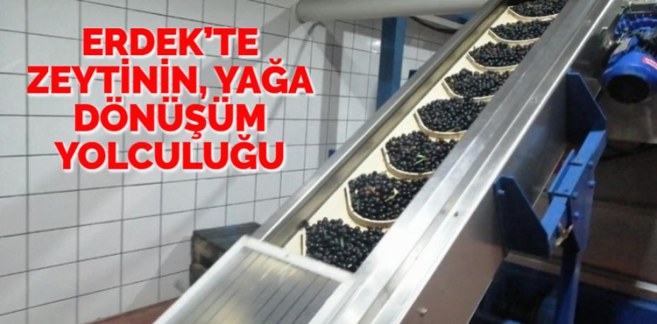 Türkiye’nin en önemli zeytinyağı