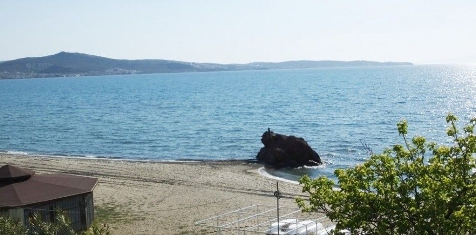 Balıkesir’in Burhaniye ilçesinde, sokağa