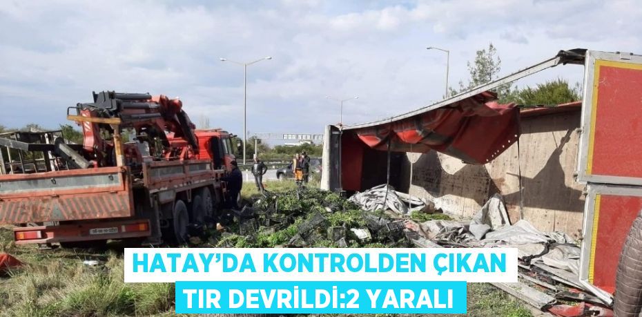 Hatay’ın Dörtyol ilçesinde maydanoz