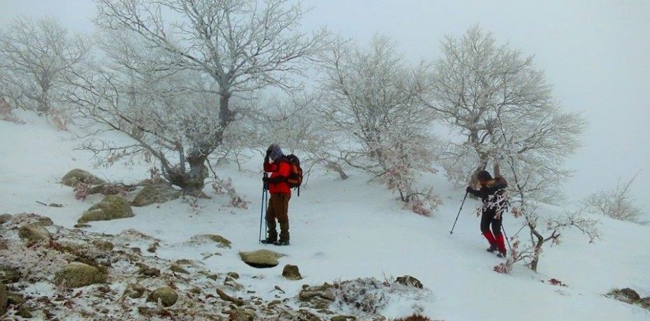 Balıkesir’in Edremit ilçesinden bir