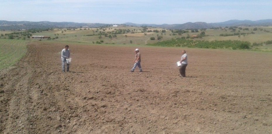 Balıkesir’in Sındırgı ilçesinde sulu