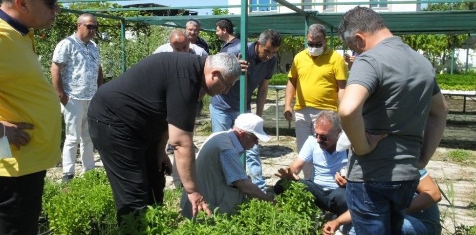 Burhaniye ilçesinde, Adıyaman Üniversitesinden