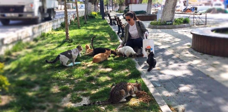 Marmara Belediye Başkanı Süleyman