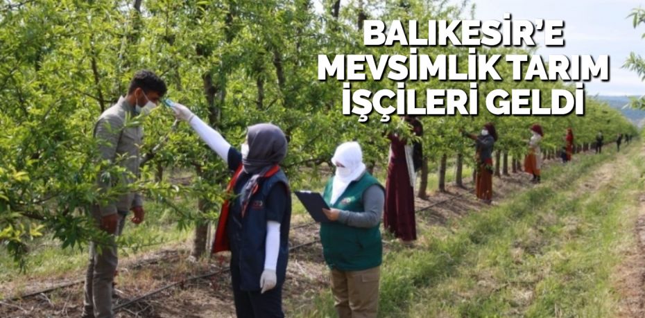 BALIKESİR’E MEVSİMLİK TARIM İŞÇİLERİ GELDİ