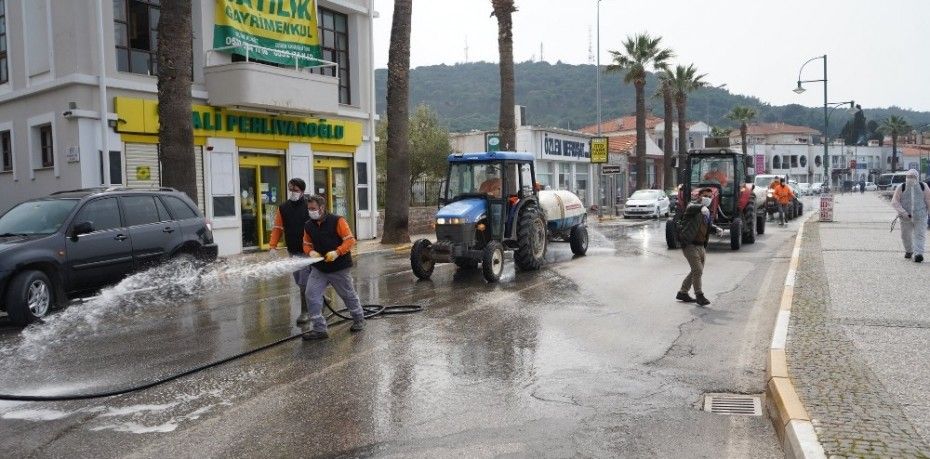 Ayvalık Belediyesi Veteriner İşleri