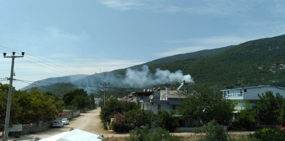 Balıkesir’in Erdek ilçesinde ormanlık