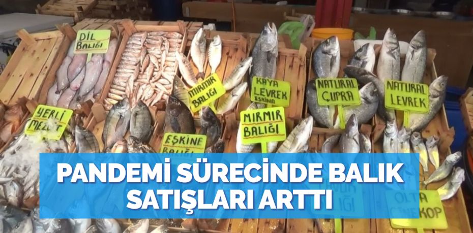 PANDEMİ SÜRECİNDE BALIK SATIŞLARI ARTTI