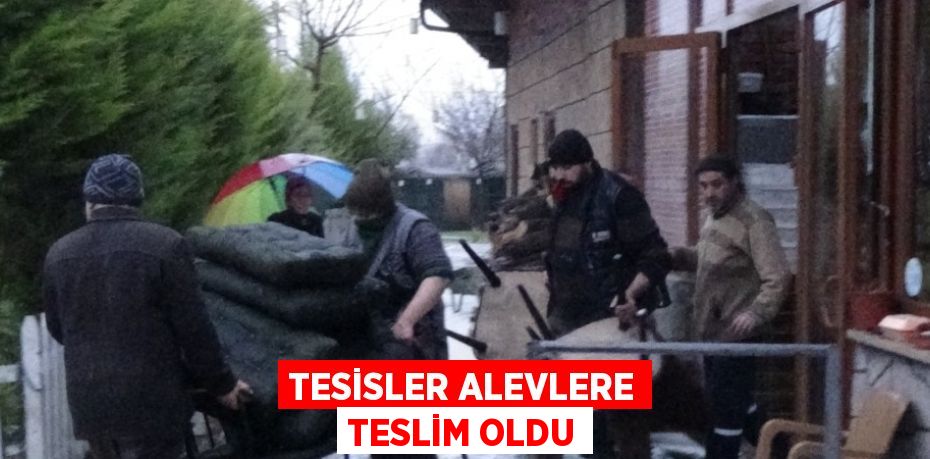 TESİSLER ALEVLERE TESLİM OLDU