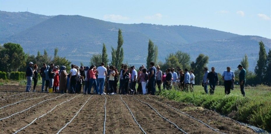 BAÇEM’in yurtiçi ve yurtdışından