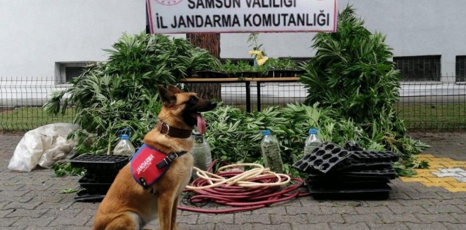 Samsun’un Salıpazarı ilçesinde jandarma