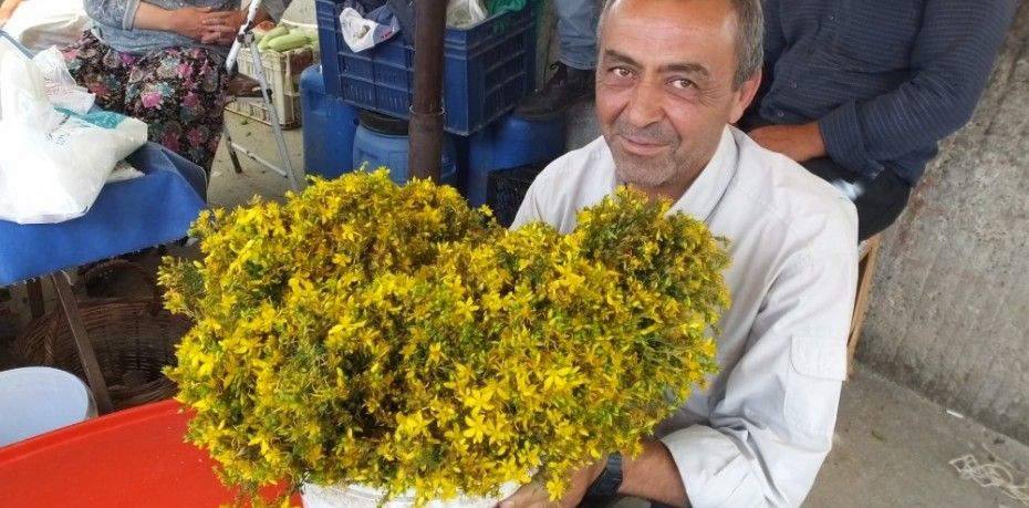 Burhaniye ilçesinde, Madra Dağı