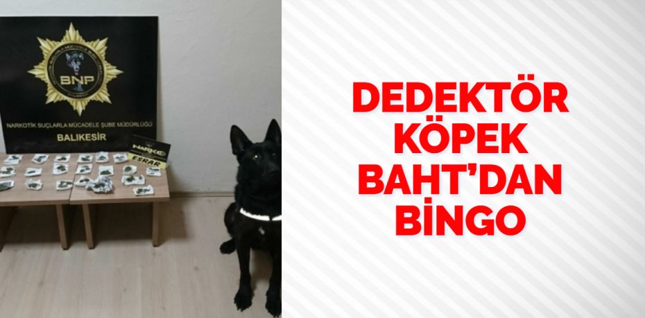 Balıkesir polisi il genelinde