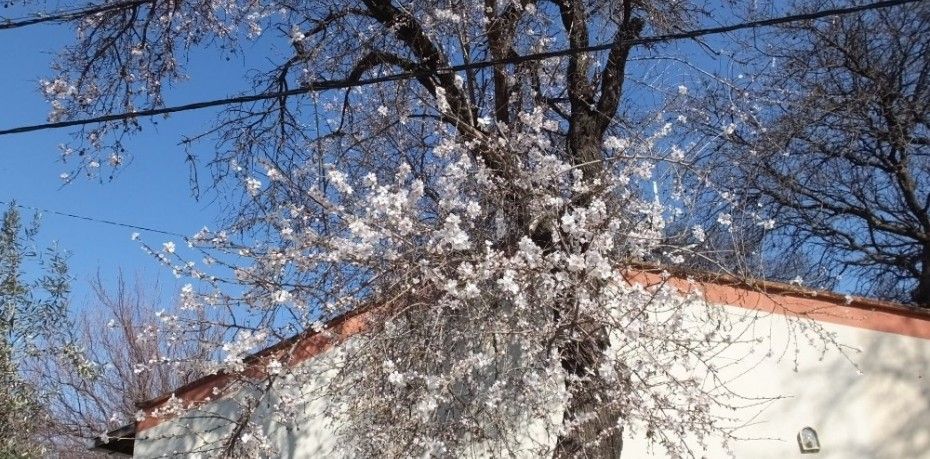 Balıkesir’in Burhaniye ilçesinde, son