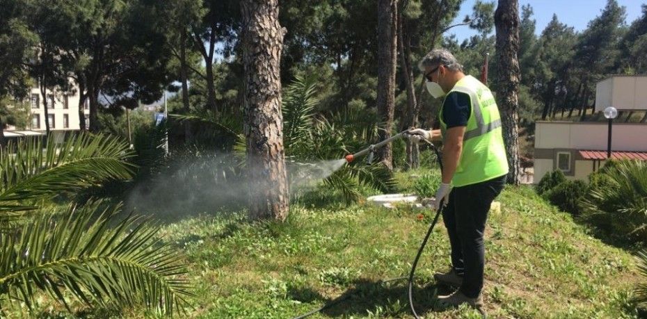 Burhaniye ilçesinde, Uzun zaman