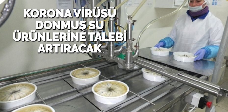 KORONA VİRÜSÜ DONMUŞ SU ÜRÜNLERİNE TALEBİ ARTIRACAK