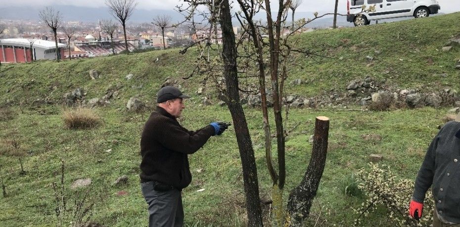 Balıkesir’in Sındırgı ilçesinde Avcılar