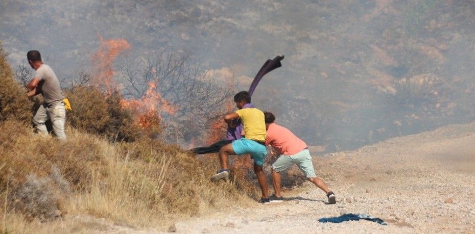 Muğla Bodrum’da makilik alanda