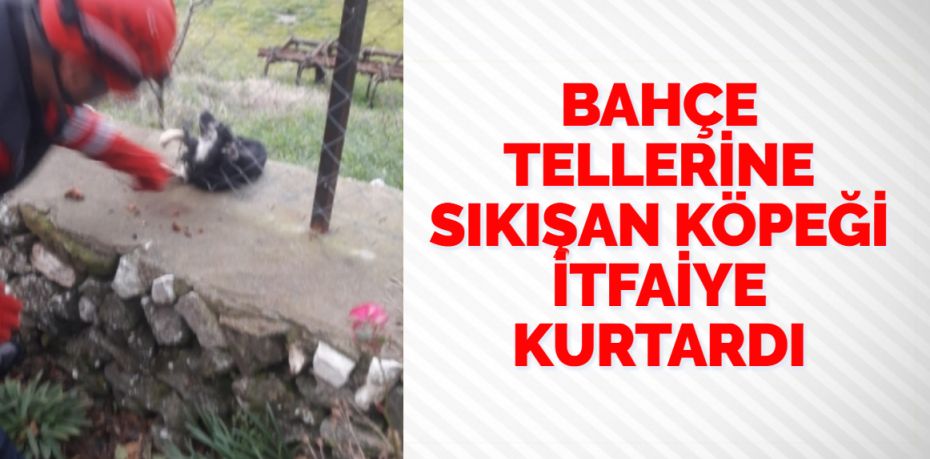 Balıkesir’in Savaştepe ilçesine bağlı