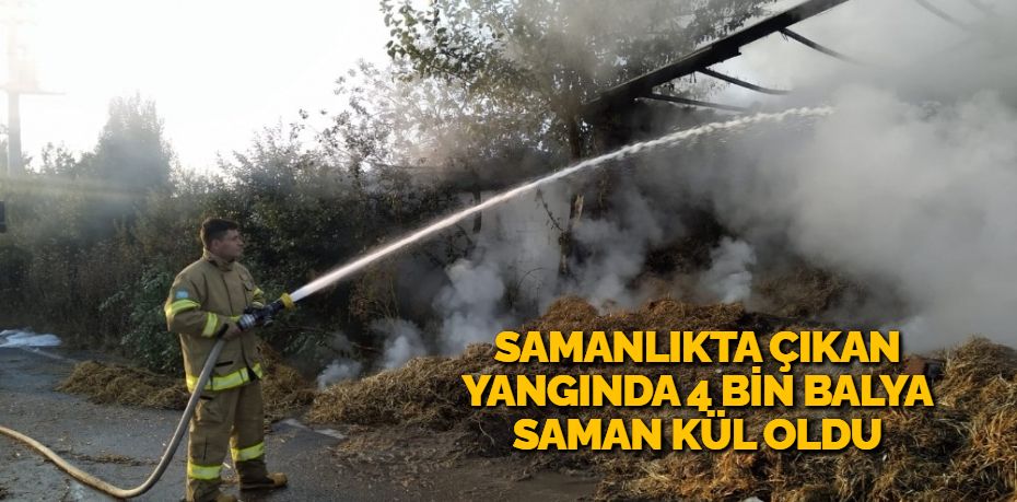 SAMANLIKTA ÇIKAN YANGINDA 4 BİN BALYA SAMAN KÜL OLDU