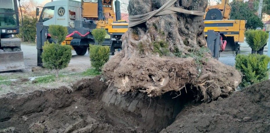 Balıkesir’in Edremit ilçesi bin